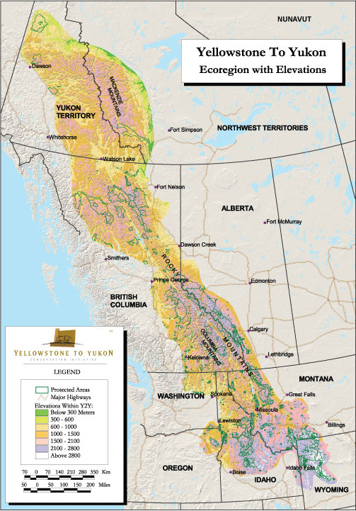 Y2Y Map